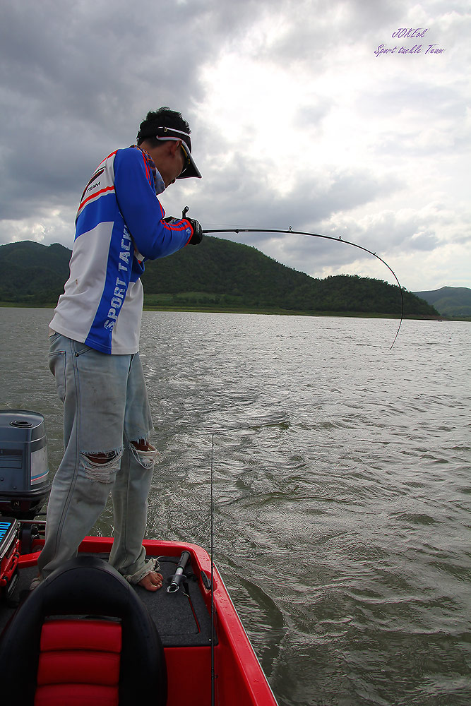 หลังจากปล่อยปลาเสร็จป๋าก็ทำการย้ายเรือมาตั้งหลักใหม่ พอเรือจอดปุ๊บ โจ๊กหวดปั๊บ ปลาก็กัดปั๊บ ป๋าบอกรา