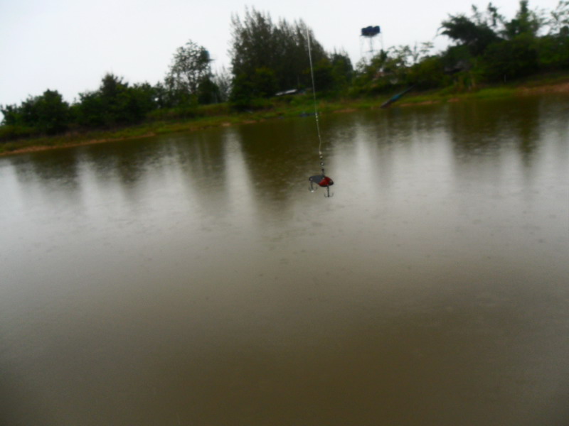ปัญหาตอนนี้คือฝนครับ ตกปรอยๆตลอดวันเลย ลากกระดี่จนเมื่อยแล้วครับยังไม่ได้ปลาเลย 


 :spineyes: :s