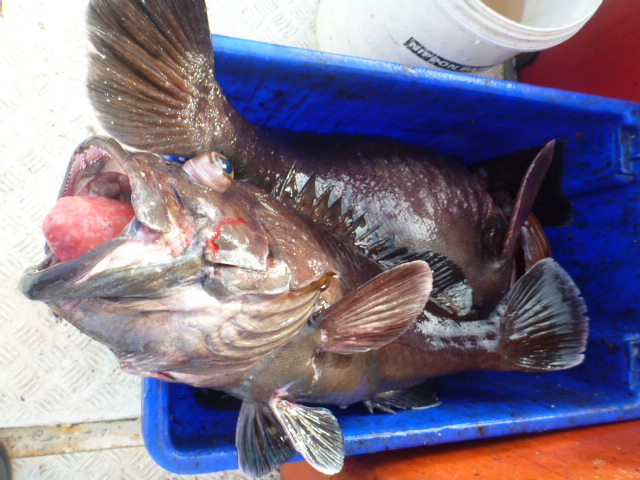 ขึ้นมาเรื่อยๆๆ :cool: :cool: