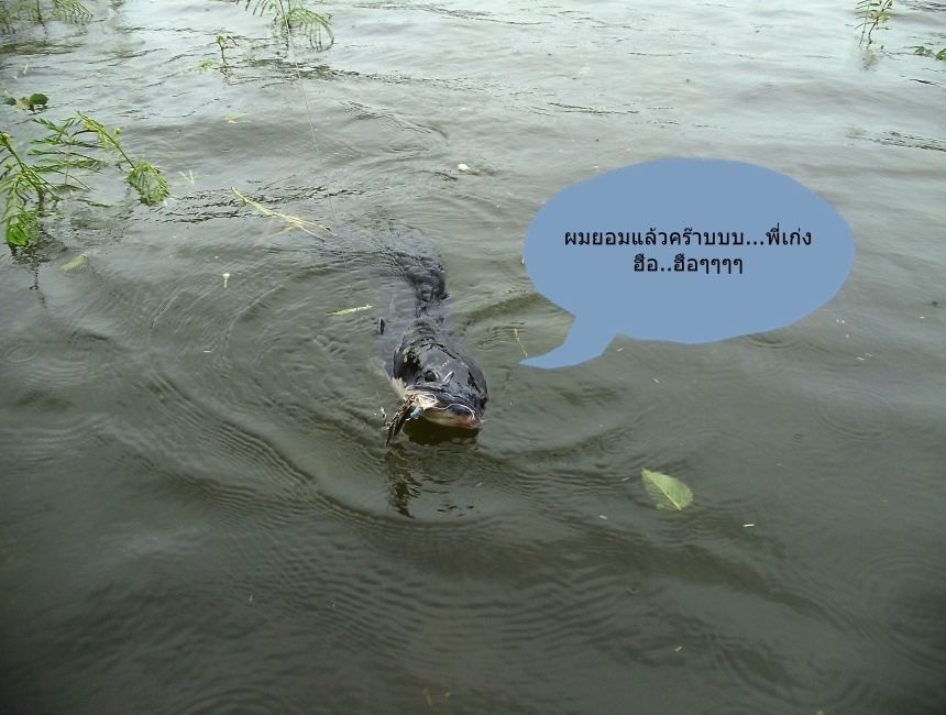  [q] [i]หมดแรงแล้วซิเรา   อิอิ...!!![/i] [/q] 


 :laughing: :laughing: :laughing: :laughing: :la