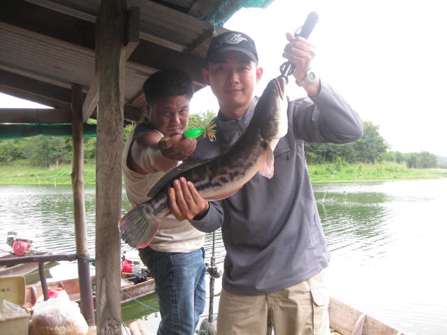 ขอโชว์ตัวใหญ่ของผมหน่อยครับ น้าโก้ร่วมแจม :grin: