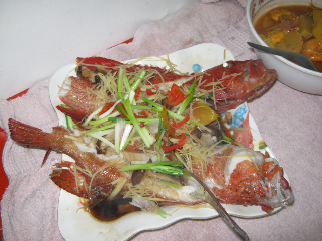 .....โห้ย!!!!!!!!!!!!!!!!!....จานนี้อร่อยมาก..ขอบอก..... :umh: :umh:
......เมื่อวานกินเก๋าถ่านลวกจิ