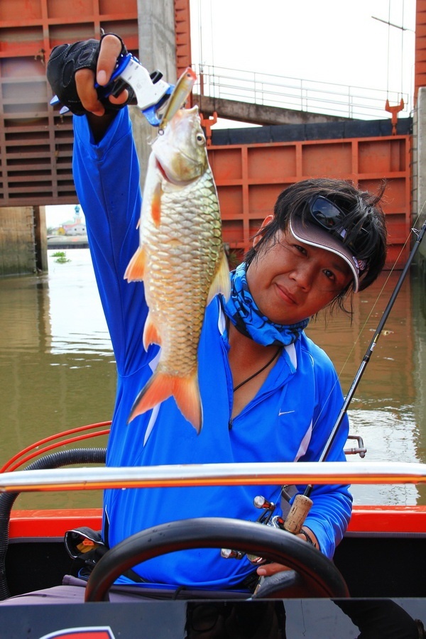 กระสูบไซด์กำลังสวยเลย