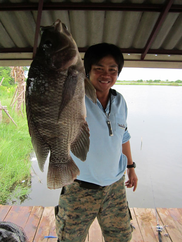 นี่ก็ไม่เว้น เอาใส้เดือนไปจั่วปลานิลซ่ะงั้น :grin: :grin:
