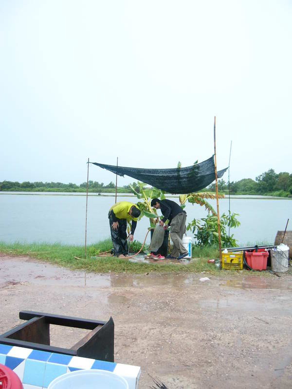 ขาลุยเลยครับ คนเนี่ย...  ฝนมา ยังห่วงปลา มากกว่าคันเบ็ด เกือบลืมคันทิ้งไว้ที่บ่อ

ดีนะที่ระหว่างทา