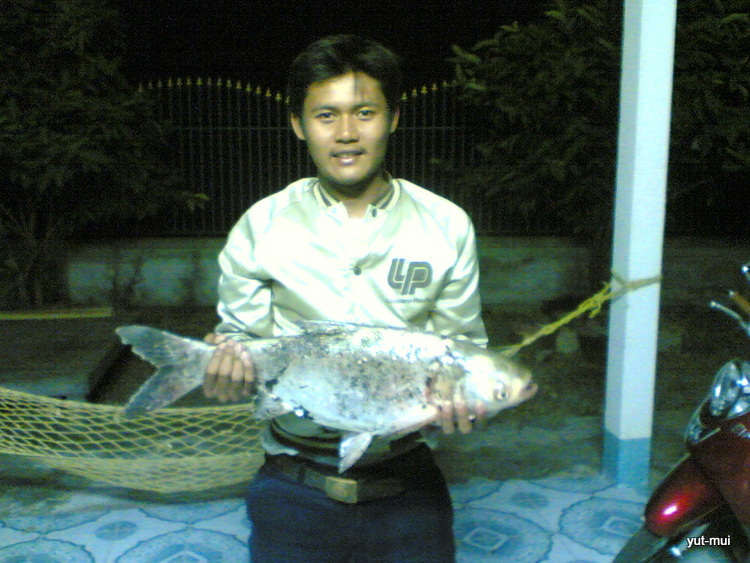 ภาพเก่าเล่าใหม่