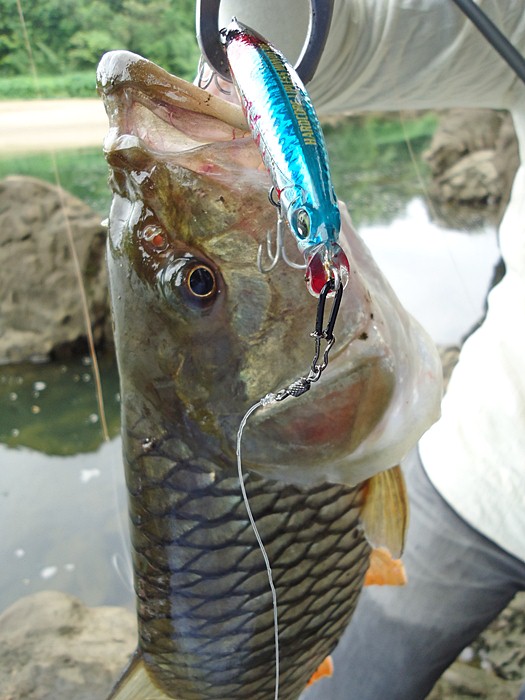 DUEL  HARDCORE  LIPLESS  MINNOW 90 MM  เหยื่อ..ของเค้า มันดีจริงๆ ครับผม !!!  :laughing: :laughing: 