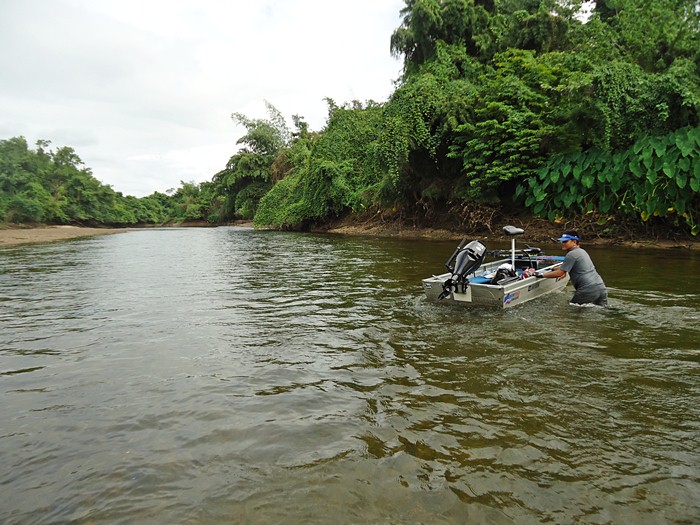 น้าอ๋า..ลากเรือ ไปรอในร่องน้ำลึก  :cool: :cool: :cool: