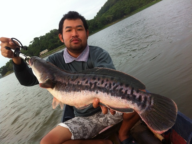 ลากันไปด้วยภาพนี้นะครับ น้าๆทุกท่าน

 :prost: :prost: :prost: :prost: :prost: :prost: :prost: :pro
