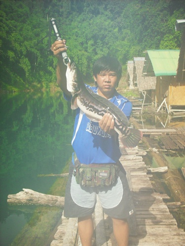 ขอโชว์บ้าง