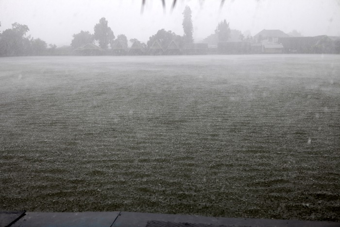 ฝนตกแต่ปลายังกินอยู่ครับ