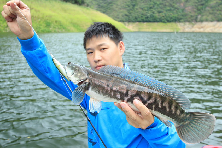 เด็กรักเด็กหลงแค่ไหน...ดูอาวว

เปลี่ยนสายพันธุ์แต่ขนาดไม่เปลี่ยน

ชะโด VS Water Mornitor