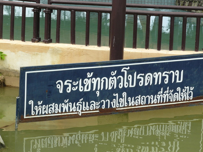 !!!!!!! จระเข้ทุกตัวโปรดทราบ+++ให้วางไข่และผสมพันธุ์ในที่ที่จัดให้ไว้++++ :laughing: :laughing: :lau