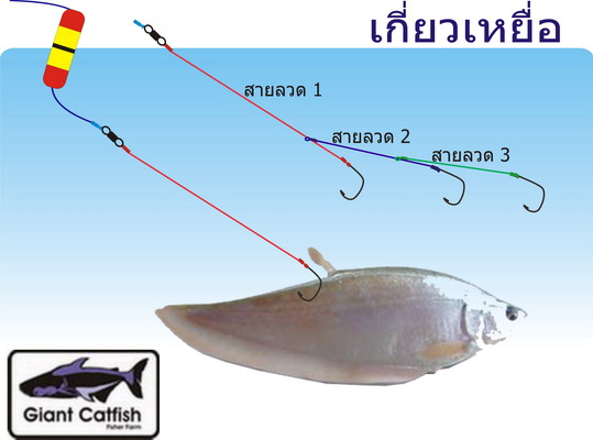 ขอบคุณน้าๆๆ ทุกท่านนะครับ 

และวันนี้ผม มี   เกร็ดความรู้เล็กน้อย ที่ผมลองเอาไปใช้แล้วได้ผลครับ 
