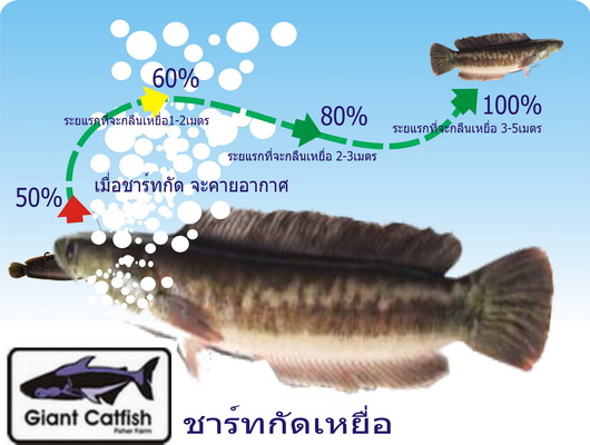 อันนี้ ได้ตัวแน่ครับ  :blush: :blush: :blush: :blush: :blush: :blush: :blush: :blush: