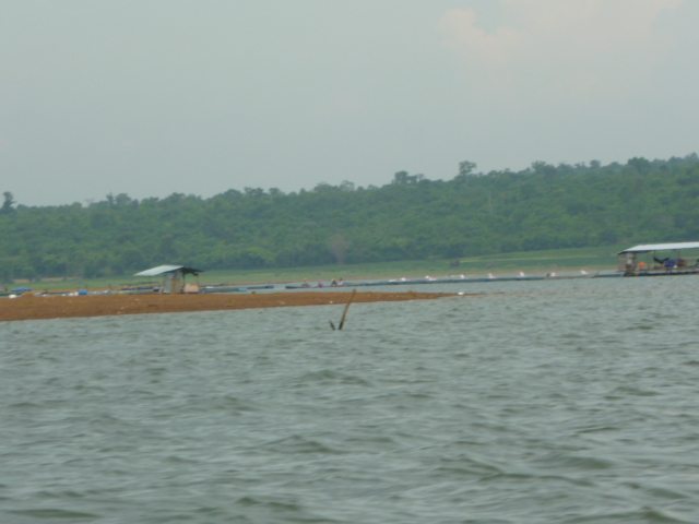 ลำแชะมีแกะ  ด้วย  จะมีหาดทรายใหมหนอ    ไต๋บอกว่าถ้าอยากได้ตัวพยานาคตัวใหญ่ๆต้องใช้เหยื่อเป็น        