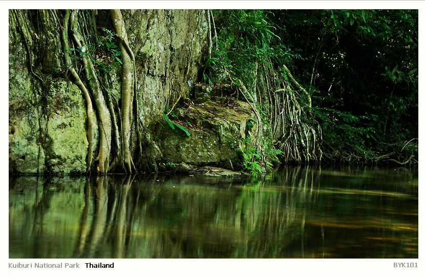 บางช่วงของเส้นทางน้ำใสแจ๋ว  ที่นี่แม้เข้าหน้าฝน  แต่ธารใสก็ไม่ขุ่นข้องหากจะลงไปแช่ให้หายเหนื่อย.....