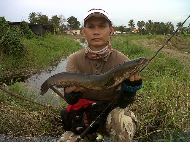 ทริปตอนเย็นเมื่อวานครับ