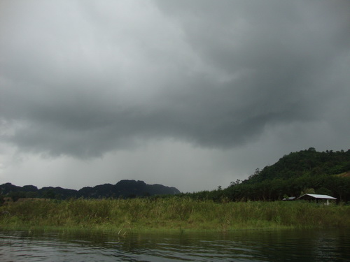 ฝนมาแล้ว