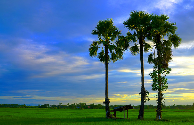 ภาพนี้แถมให้ครับ  ต้นฉบับของการทำHDR อันนี้ยังไม่ได้ใส่โทนสีส้มๆครับ 

สำหรับกระทู้นี้ลาไปก่อนครับ