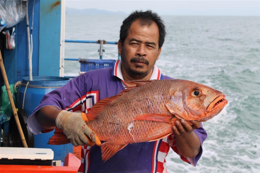 ขอโชว์