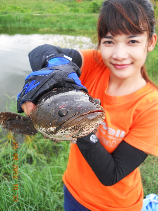 อิอิ หัวงู  :laughing: :laughing: :laughing: