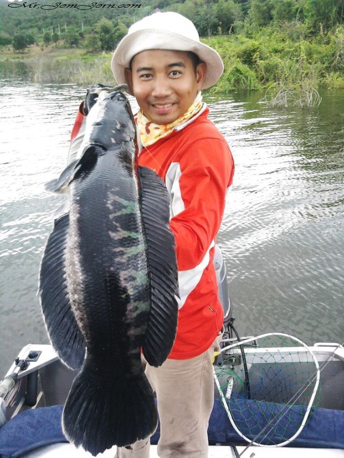 เดือดร้อนต้องเอาโทรศัพย์มือถือเก่าๆถ่ายรูปแทน :laughing: :laughing: :laughing:

เล่นชะกบยางขาขาดตา