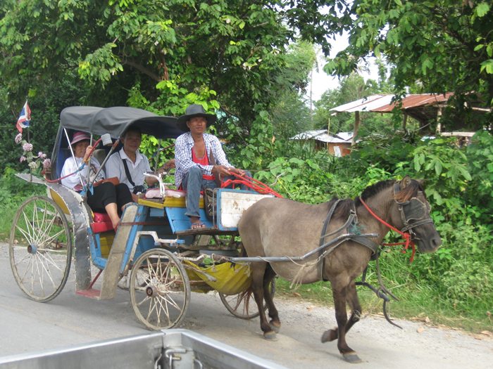 เอ..พัทยาหรืิอลำปาง  หนาวมากว่ะเนี่ย!!! :smile: :smile: