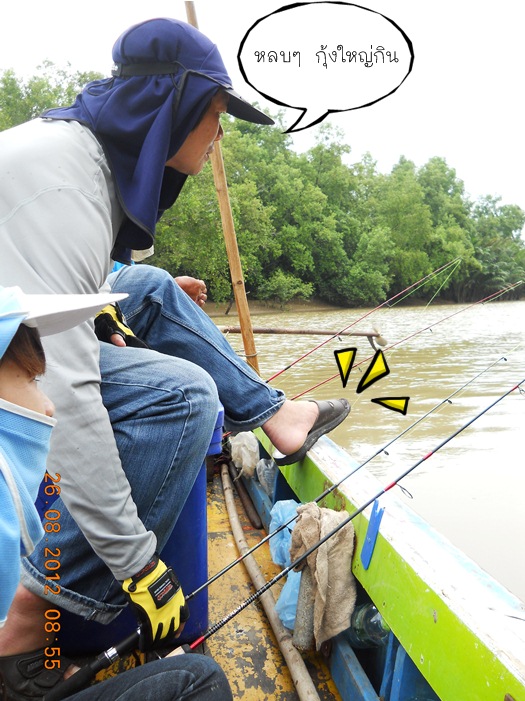 กุ้ง จับอีกแล้วของพี่ตา