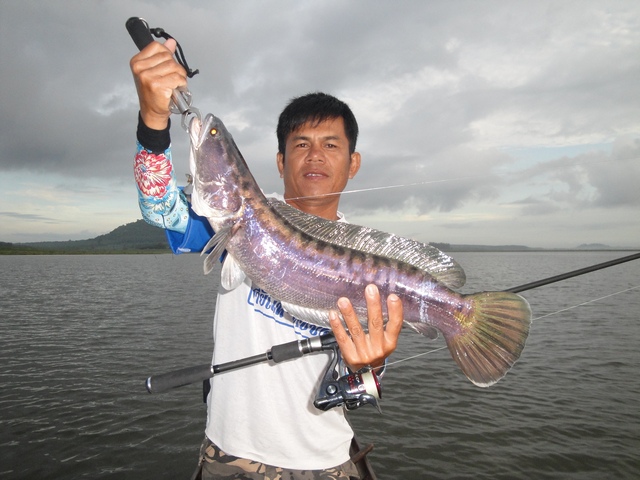 จัดหล่อให้ไต๋บ้าง :cool: :cool: :cool: :cool: