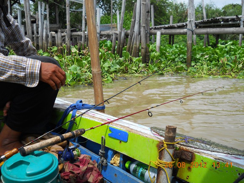 นี่เลยไต๋เฝ้าหัวเรือ  :smile: