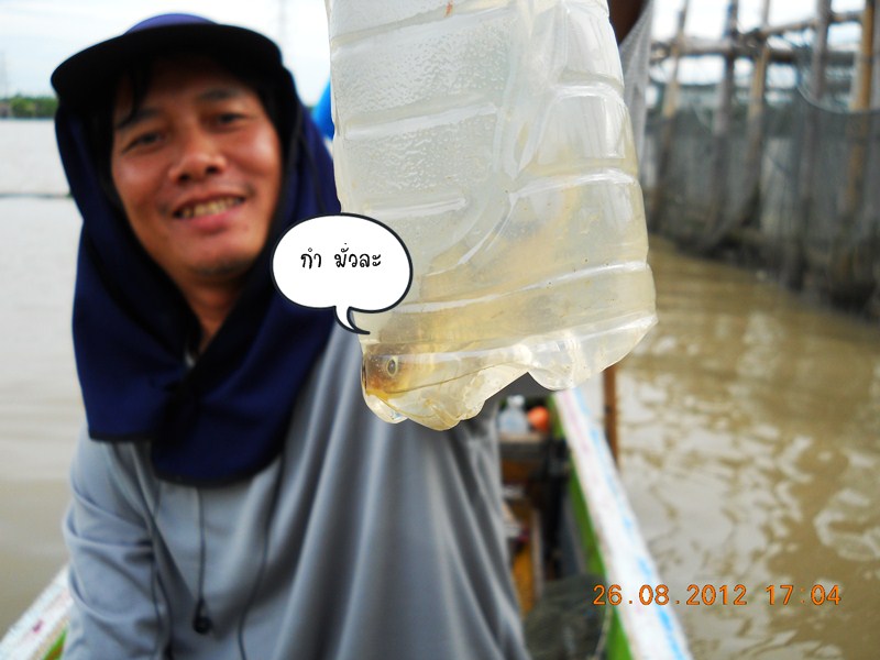จะลงรูปนี้ แล้วรูปบนของใครไม่มีใครเครื่องเมย์นะ  งง เลย  :spineyes: :spineyes: :spineyes: