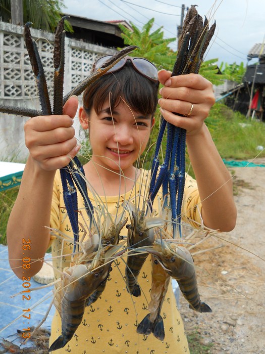 นี่แน่ใหญ่มากกก  :grin: :grin: