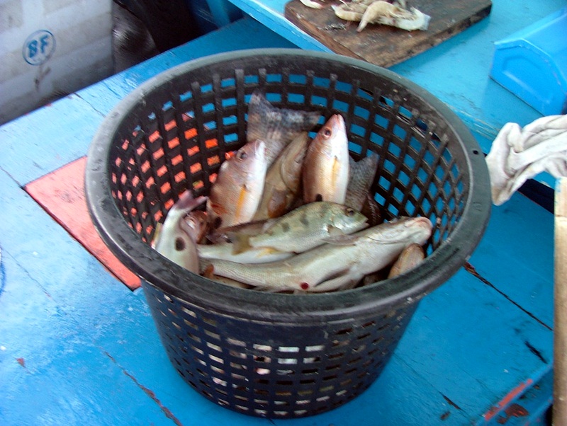 มาเป็นเข่งเเล้ว :cheer: