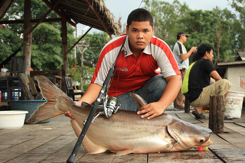 [q][i]อ้างถึง: d2010 posted: 27-08-2555, 19:16:29[/i]

 :cheer: :cheer: :cheer:[/q]
 :grin: :grin