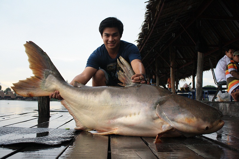 สุดท้ายละครับ
ตามทำเนียมก็ต้องมีปลายืมกันหน่อย  :laughing: :laughing: