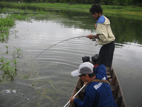 โดนเรื่อยๆ