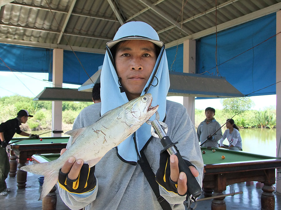 ขอพรอันประเสริฐจากน้าๆในบ้านหลังนี้ให้กับสมาชิกปลายางท่านนี้ด้วยครับ
