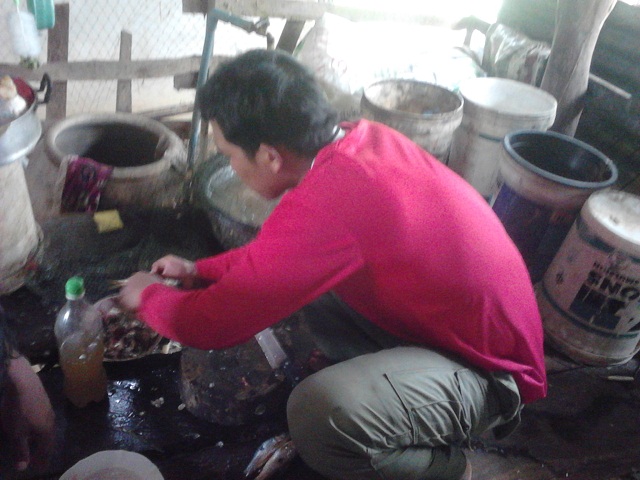 จานเกรียง ขอดเกล็ด ตัดหัว ควักไส้
