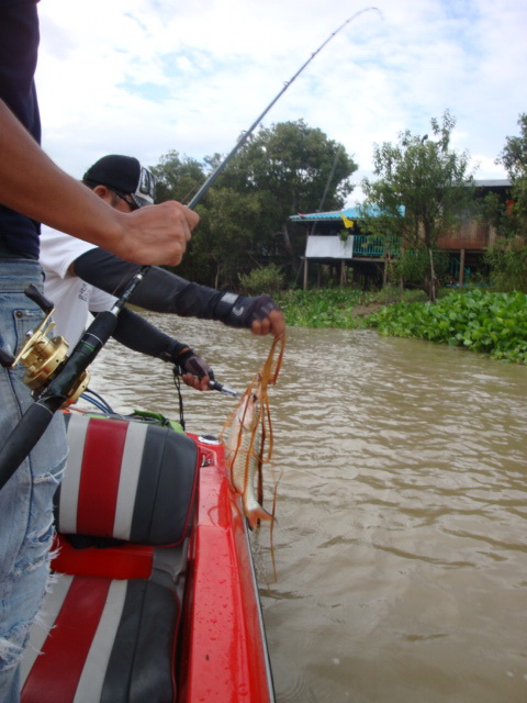  :cheer: :cheer: :cheer: :cheer: :cheer: