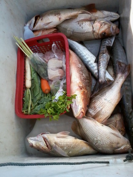 เปิดลังสำรวจ ปลารวมถึง 6.00โมงเช้า สกอร์ อังเกย 11 สาก 3  ผู้นำอาจารย์ใหญ่ กดอังเกยมา 6 ตัวคนเดียว :