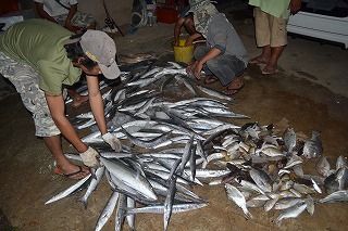 ไปเรือไต๋เจตคับ