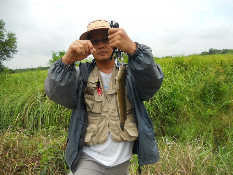 ยังอยู่ที่หนองเสือ ครับ
แต่วันนี้เปลี่ยนแนว มาเน้นปลาเล็ก ครับ
 :grin: