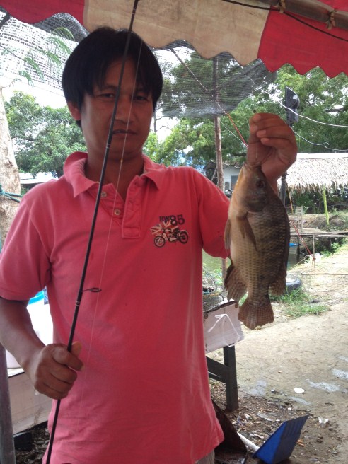 สปิ๋วปลานิล 