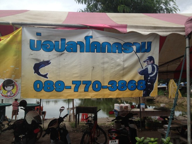 มาไม่ถูกโทรถามครับ ผมไม่ได้มีส่วนได้เสียใดๆทั้งสิ้น แต่อยากสนับสนุนบ่อตกปลาที่ไม่ไกลจากบ้าน โดยเฉพาะ