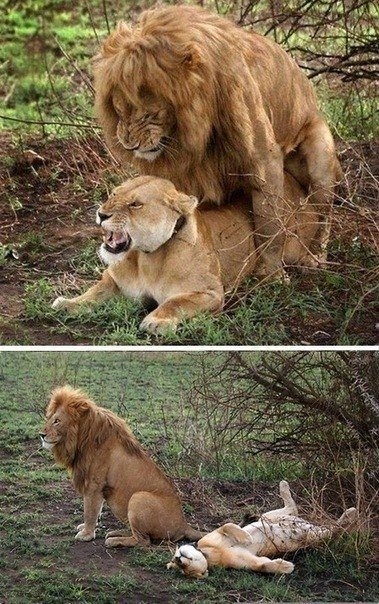  :grin:
