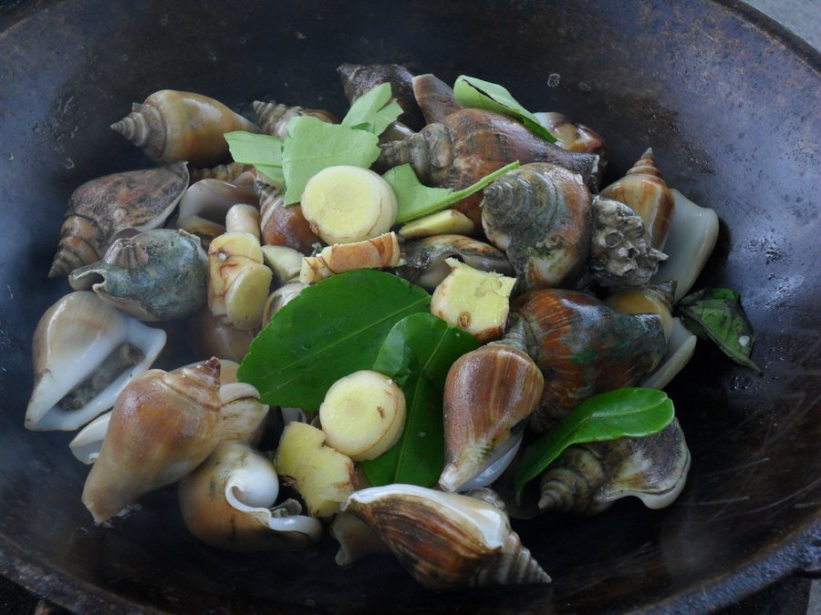 เบิ้มจัดหอยชักตีนมาให้...ไม่ได้กินมานานแล้ว โลเกือบร้อยแล้ว :umh: