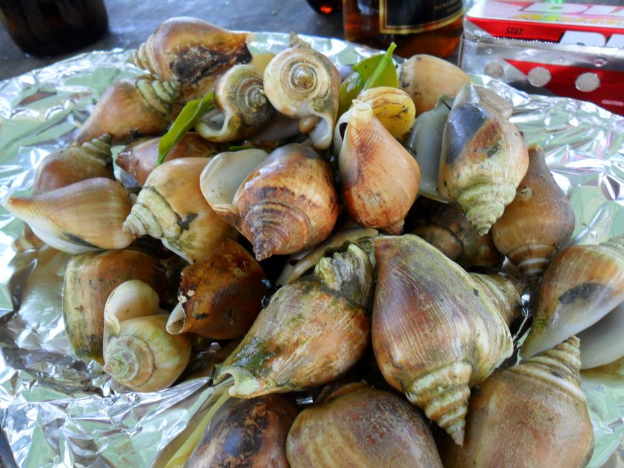 ต้มแป๊บเดียวได้กิน :umh:
