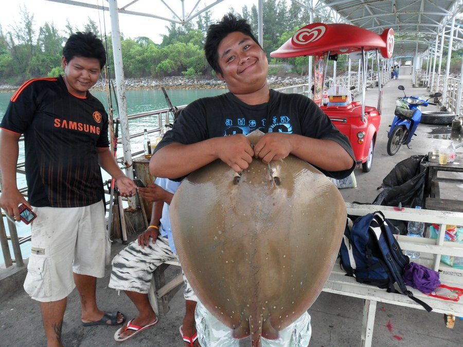 ม่ายหนัก...... :laughing: :laughing: :laughing: