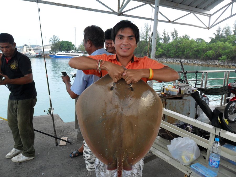 เต้ อีกซักที.... :grin: